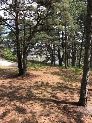 Apartament Ustecka Ostoja Na Wydmie Ustka Luaran gambar